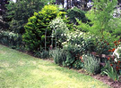 Frisbee Garden Arch View