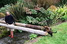 Cat Bridge Water