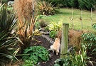 Cat Path Flax
