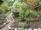 Garden Path Compost
