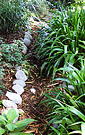 Garden Paths Stone Wattle W