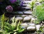 Laundry Path Stone Ferns Hydrangeas