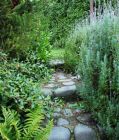 Laundry Path Stone Lavender Ferns