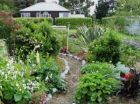 Middle Garden Path View To House