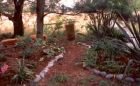 Wattle Garden Path New