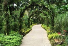 Arches Tropical Garden