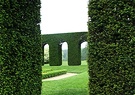 Archway Topiary