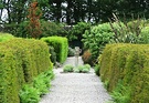 Hedges Walled Garden