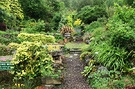 Hillside Garden Scotland