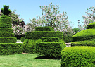 Topiary Longwood Garden