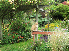 Cat Post Garden