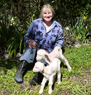 Gardener Pet Lambs