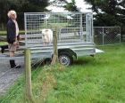 George Sheep Trailer