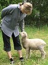 Pet Lamb Gardener
