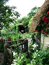 Old English Cottage Garden