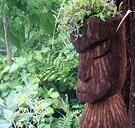 Tree Fern Maori Sculpture