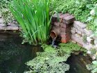 Brick Pond