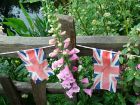 Bunting Flags Garden Fence