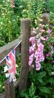English Garden Fence