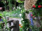 Rustic Cottage Garden Charm