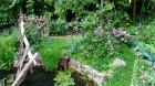 Rustic Garden Pond