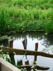 Union Jack Reflection