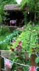 Vegetable Patch001