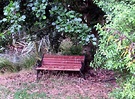 Old Park Bench