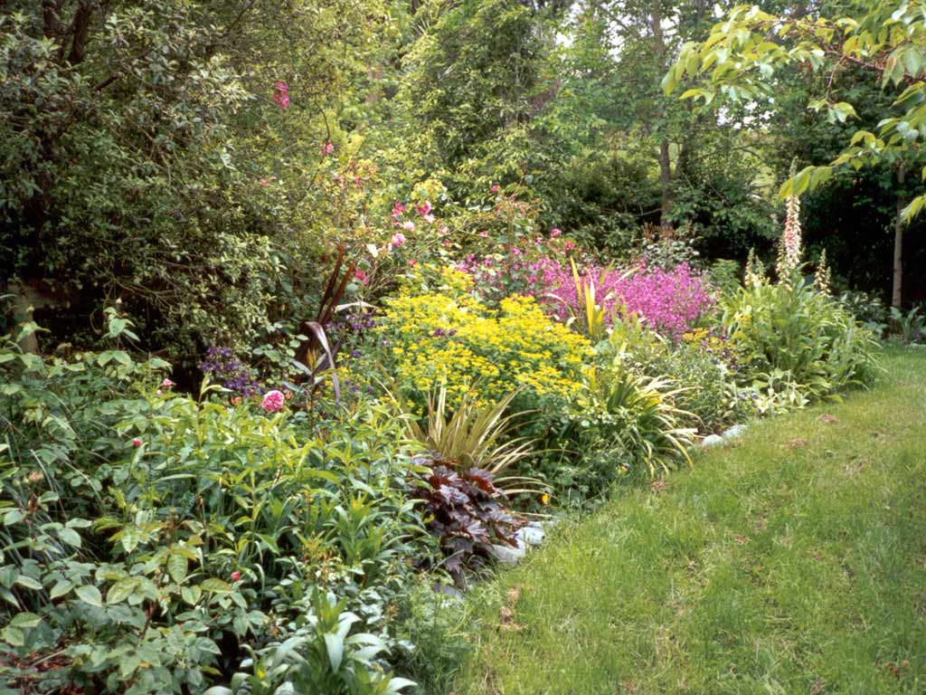 Garden Border Pictures