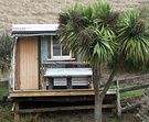 Cape Campbell Shed 2