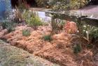 Stables Garden Newly Planted