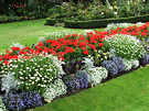 Bedding Flower Display