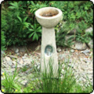 Bird Bath Paua