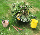 Buckets Wheel Barrow