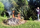 Burning Garden Waste