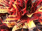 Codiaeum Variegatum Red