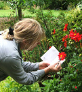 Dahlia Gardener Writing