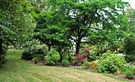 Driveway Lawn Garden