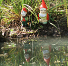 Fishing Gnomes