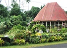 Garden Archway Tropical