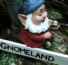 Garden Gnome Fiddle