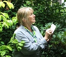 Gardener Writing Shrubbery