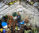 Glass House Gardener