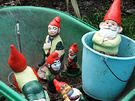 Gnomes Garden Barrow