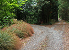 Grass Bend Driveway