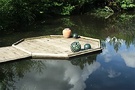 Hexagonal Decking Pond