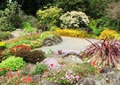 Larnach Rock Garden