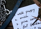 List Dog Lead