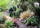 Native New Zealand Garden