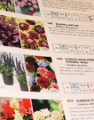 Page Seed Catalogue